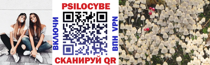 Псилоцибиновые грибы мицелий  Купить  Радужный 